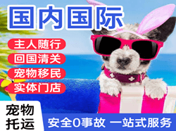 东营胜利机场邮寄国际宠物托运 【国